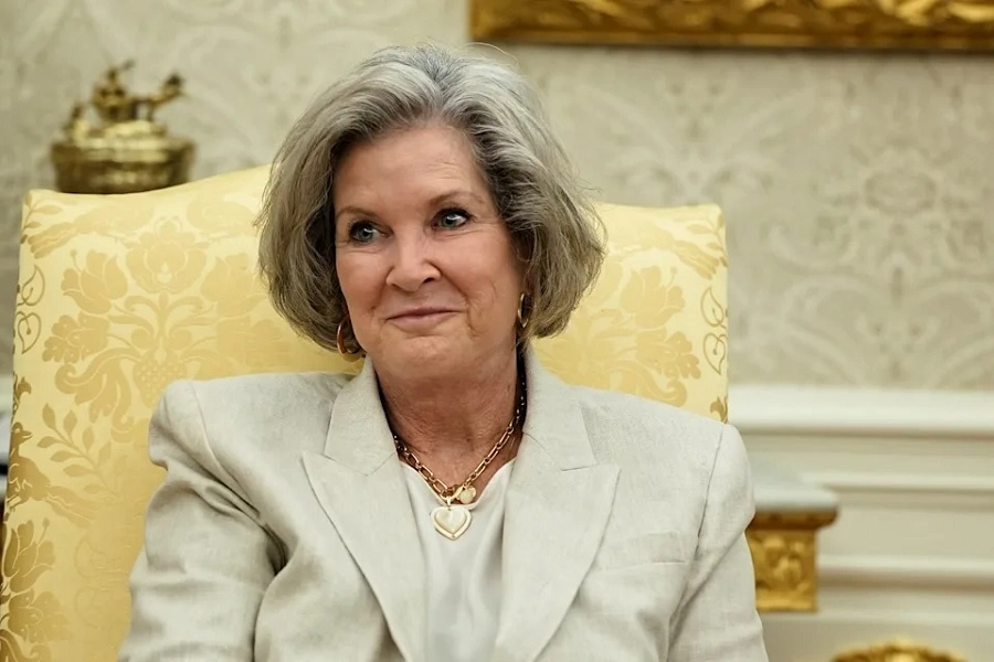 Susie Wiles Net Worth